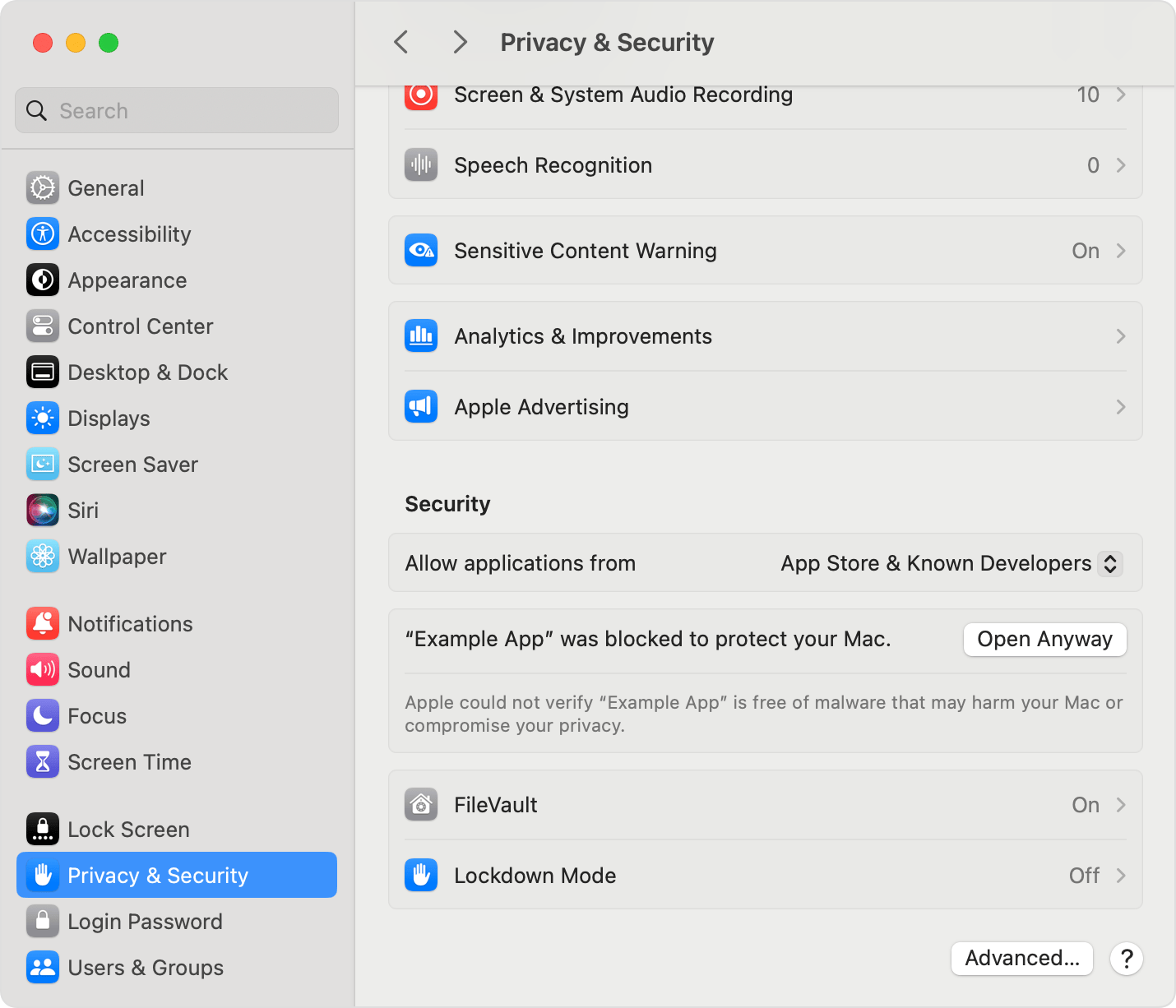 macOS Privacy & Security settings page with the Open Anyway button